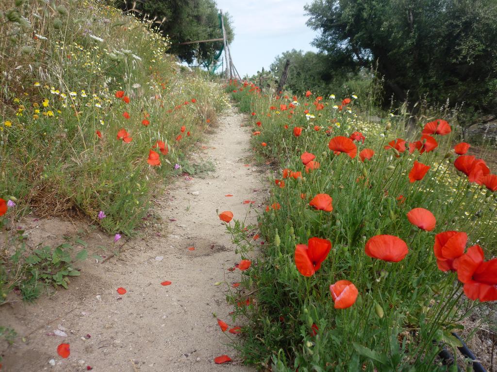 Rocca Del Vento Bed & Breakfast San Pantaleone Exterior photo