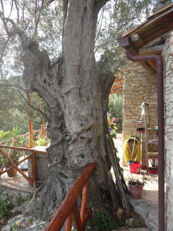 Rocca Del Vento Bed & Breakfast San Pantaleone Exterior photo
