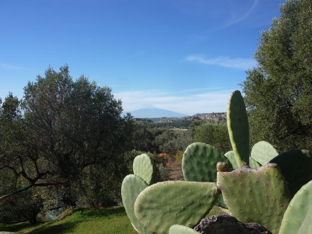 Rocca Del Vento Bed & Breakfast San Pantaleone Exterior photo