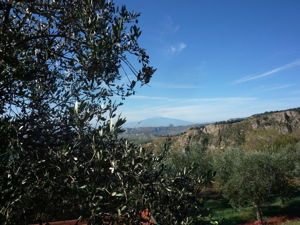 Rocca Del Vento Bed & Breakfast San Pantaleone Exterior photo